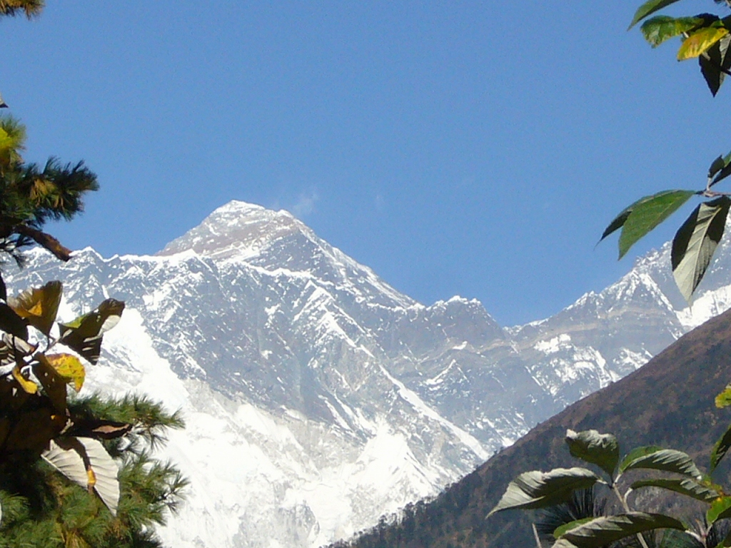 e0024081_2012387.jpg