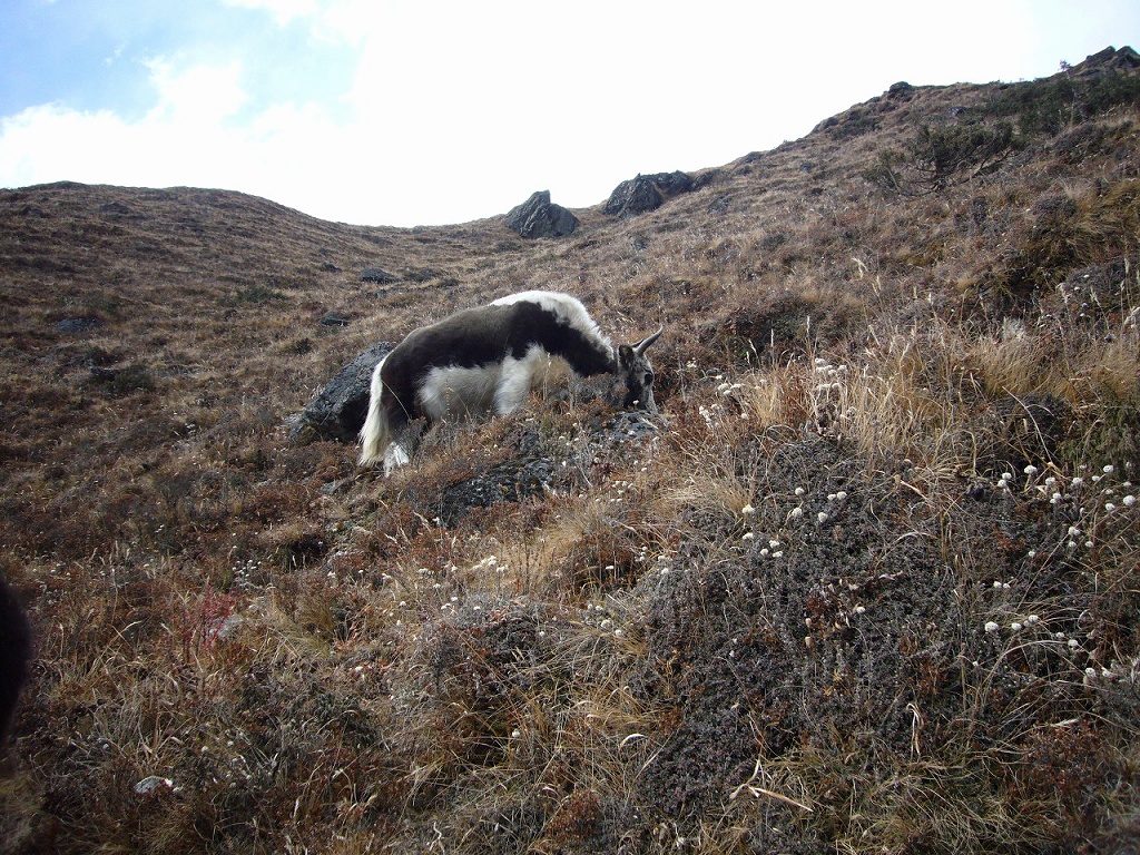 e0024081_21325499.jpg