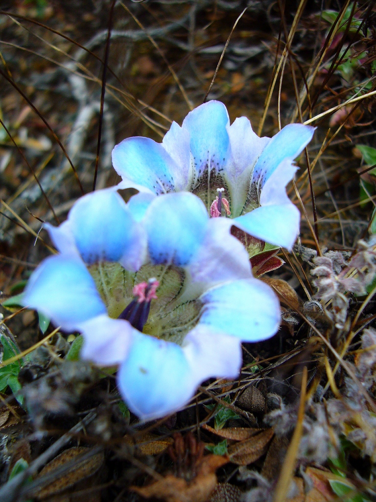 e0024081_21334938.jpg