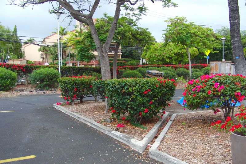 f0031682_19123832.jpg