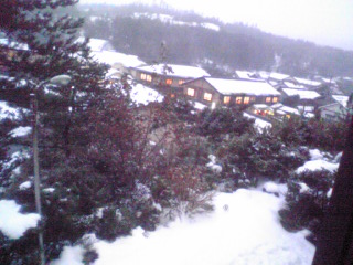 c0042491_1435978.jpg