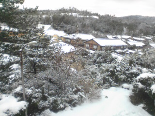 c0042491_1451369.jpg