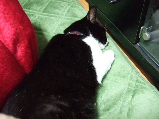 c0150193_2010415.jpg