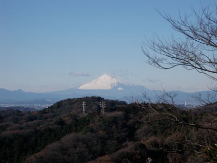 d0122797_1574776.jpg