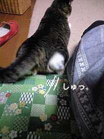 c0035001_14171249.jpg