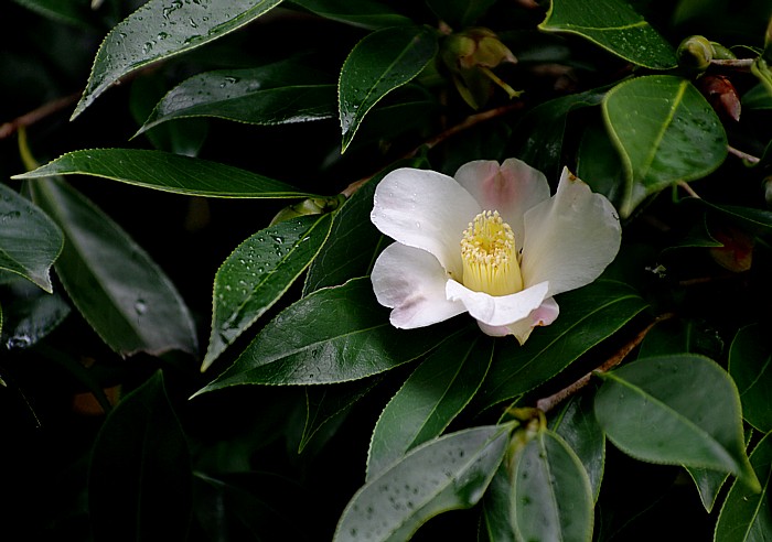 c0165301_2015318.jpg