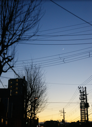 e0153701_23131574.jpg