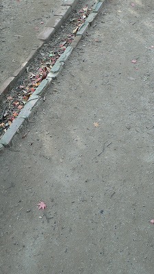 e0183004_12161812.jpg