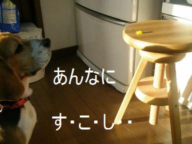 c0205806_1813868.jpg