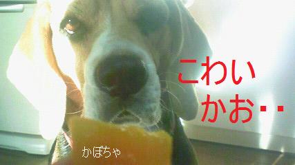 c0205806_1826253.jpg