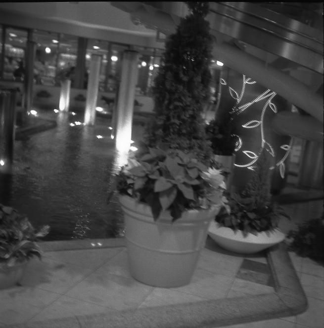 d0071507_22263015.jpg