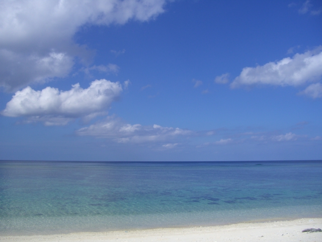 b0143709_0202310.jpg