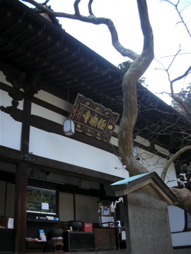 c0145209_1247199.jpg