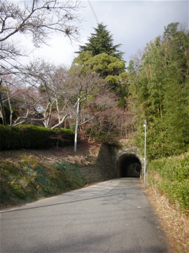 c0145209_1248893.jpg