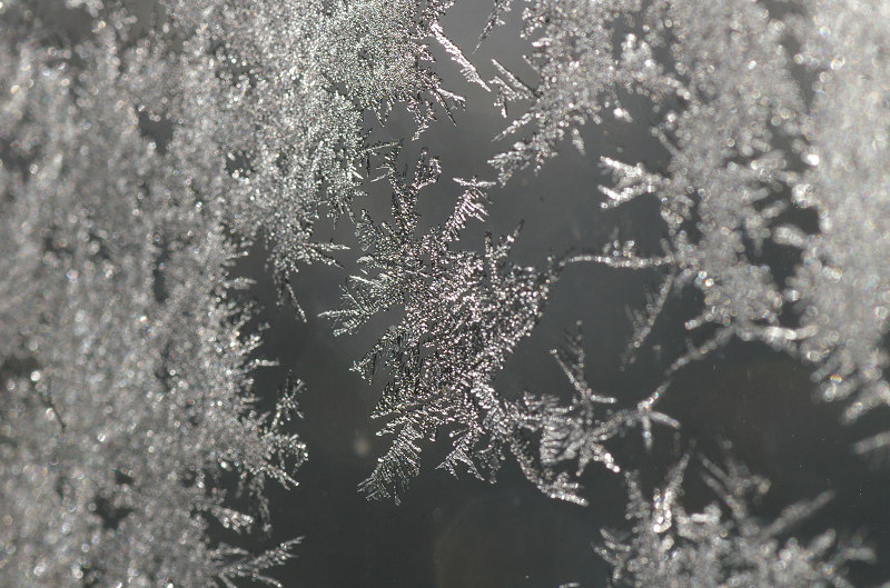 e0136424_8485629.jpg