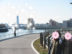 c0140230_2322169.jpg