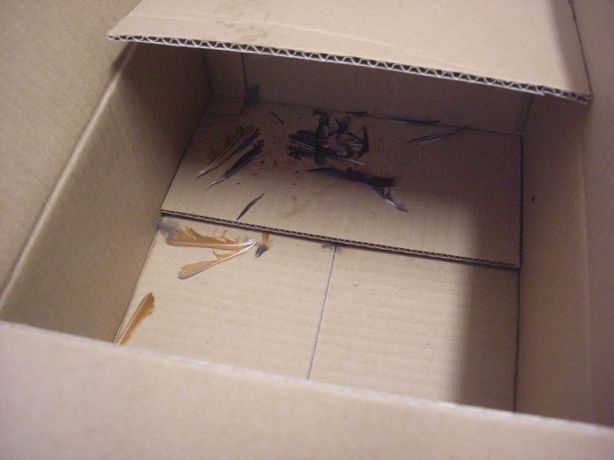 e0142430_2238071.jpg