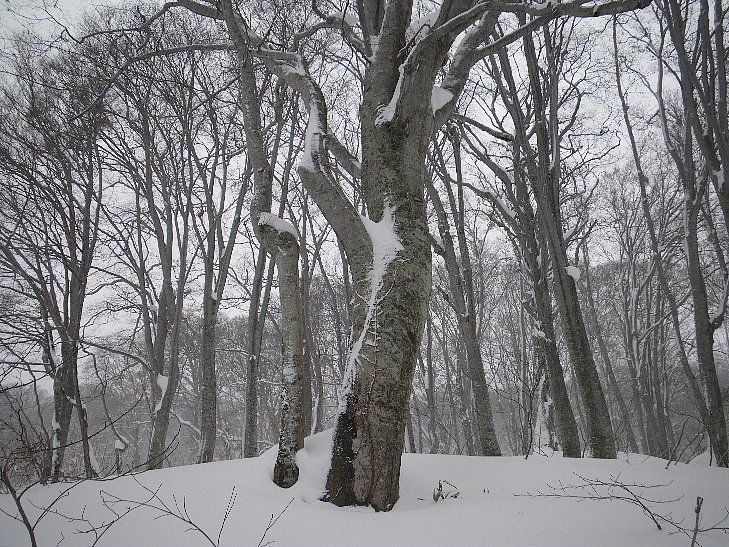 f0118332_23423788.jpg
