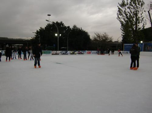 c0206352_834081.jpg
