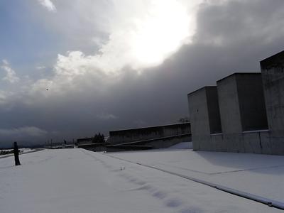 f0178153_0573369.jpg