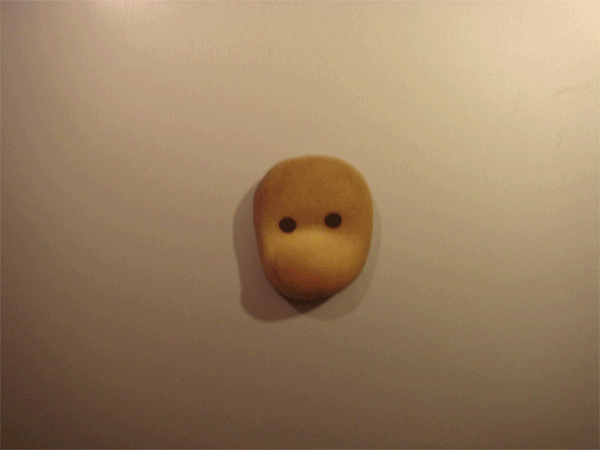 f0178153_16465.gif