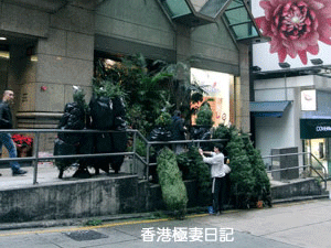 f0190653_14303390.gif