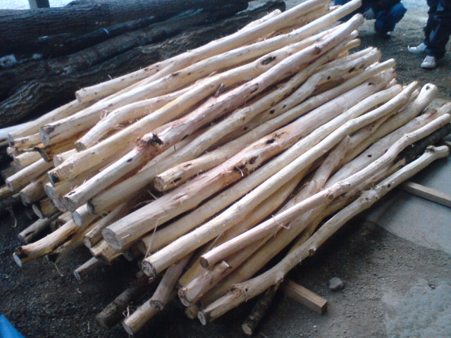 f0051256_0301690.jpg