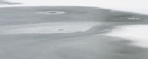 f0009457_2343922.jpg
