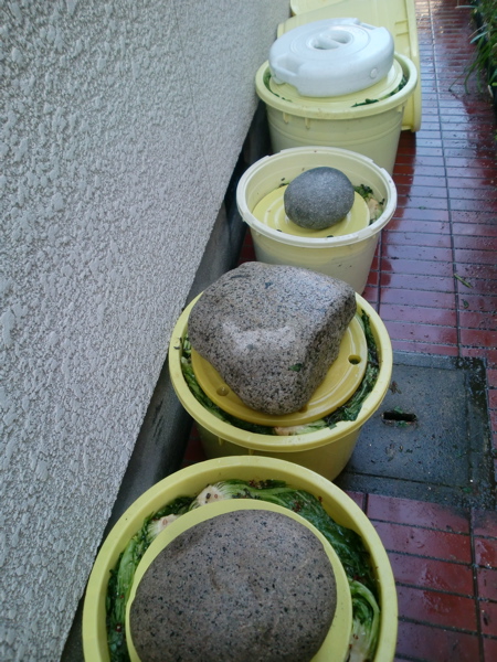 d0105063_13235135.jpg