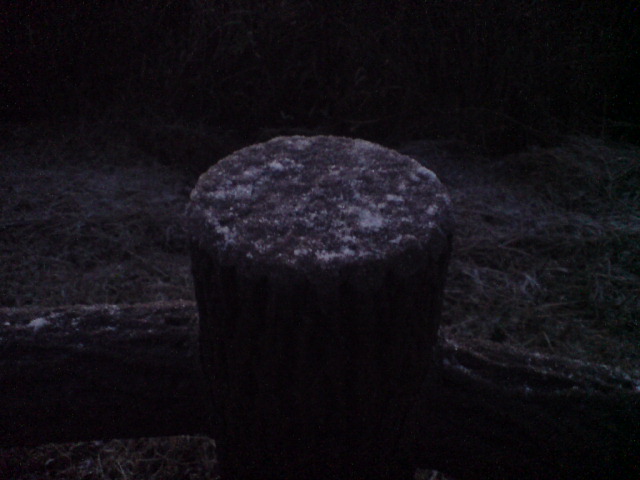 c0060076_8403615.jpg