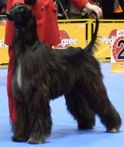 e0180078_8234930.jpg