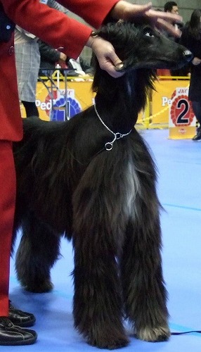 e0180078_8251392.jpg