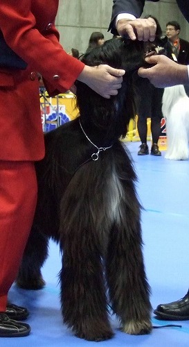e0180078_8261211.jpg