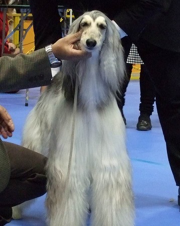 e0180078_8305277.jpg