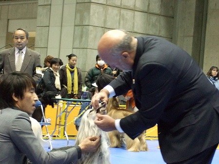 e0180078_892286.jpg
