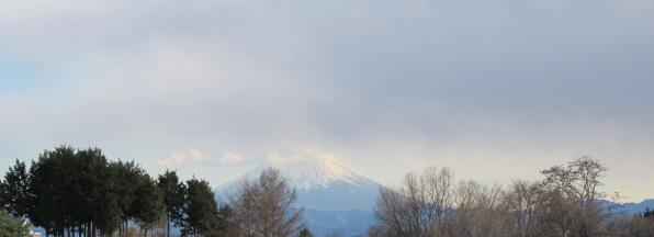 a0091680_1684667.jpg