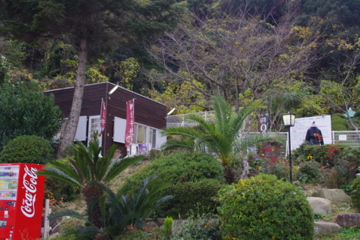 d0137083_1371952.jpg