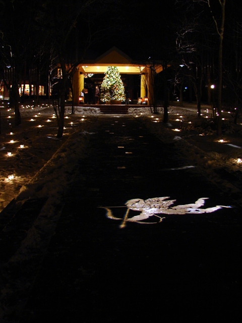 b0011185_1239291.jpg