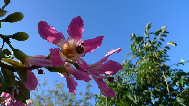 b0115085_11435687.jpg