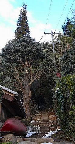 b0029488_15291660.jpg