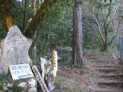 f0202990_111845.jpg