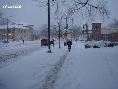 b0166491_517111.jpg