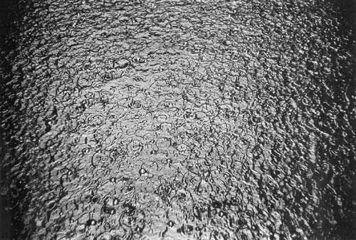 b0099994_1146389.jpg