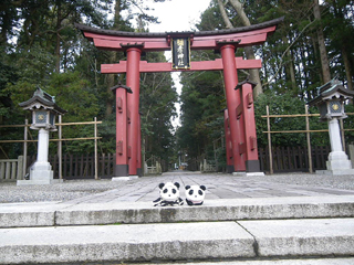 e0015195_1112270.jpg