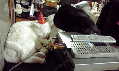 c0206596_188426.jpg
