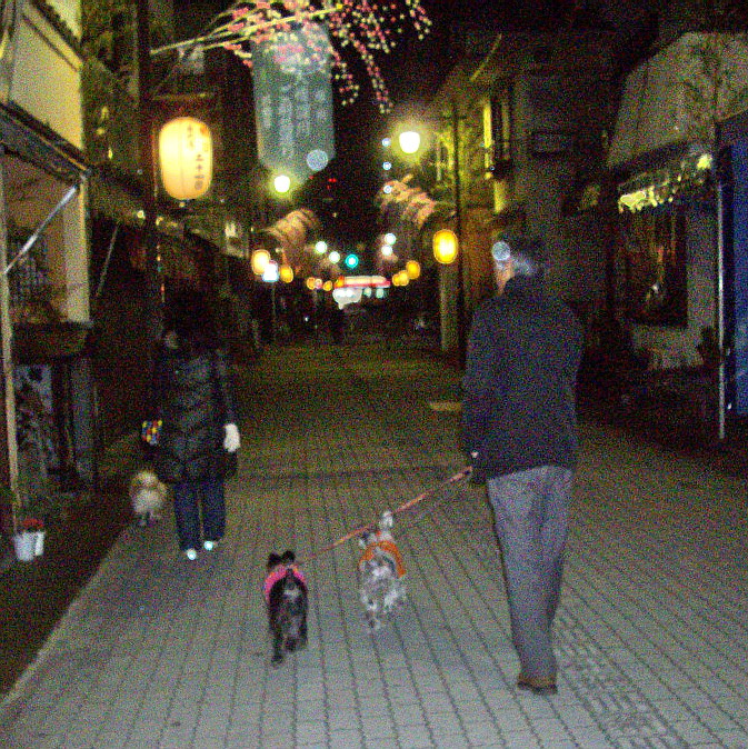 c0138198_15471662.jpg