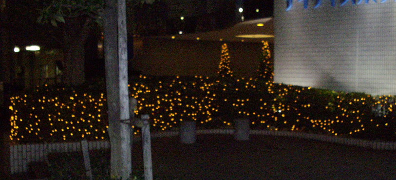 c0138198_15475450.jpg