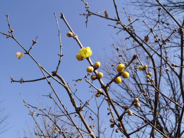 e0025300_2181877.jpg