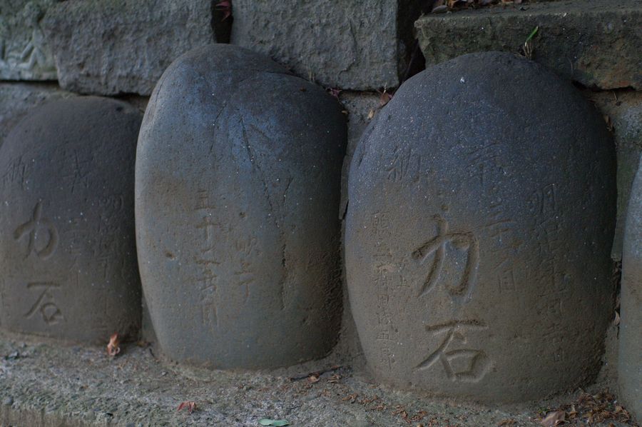 c0187503_20444227.jpg