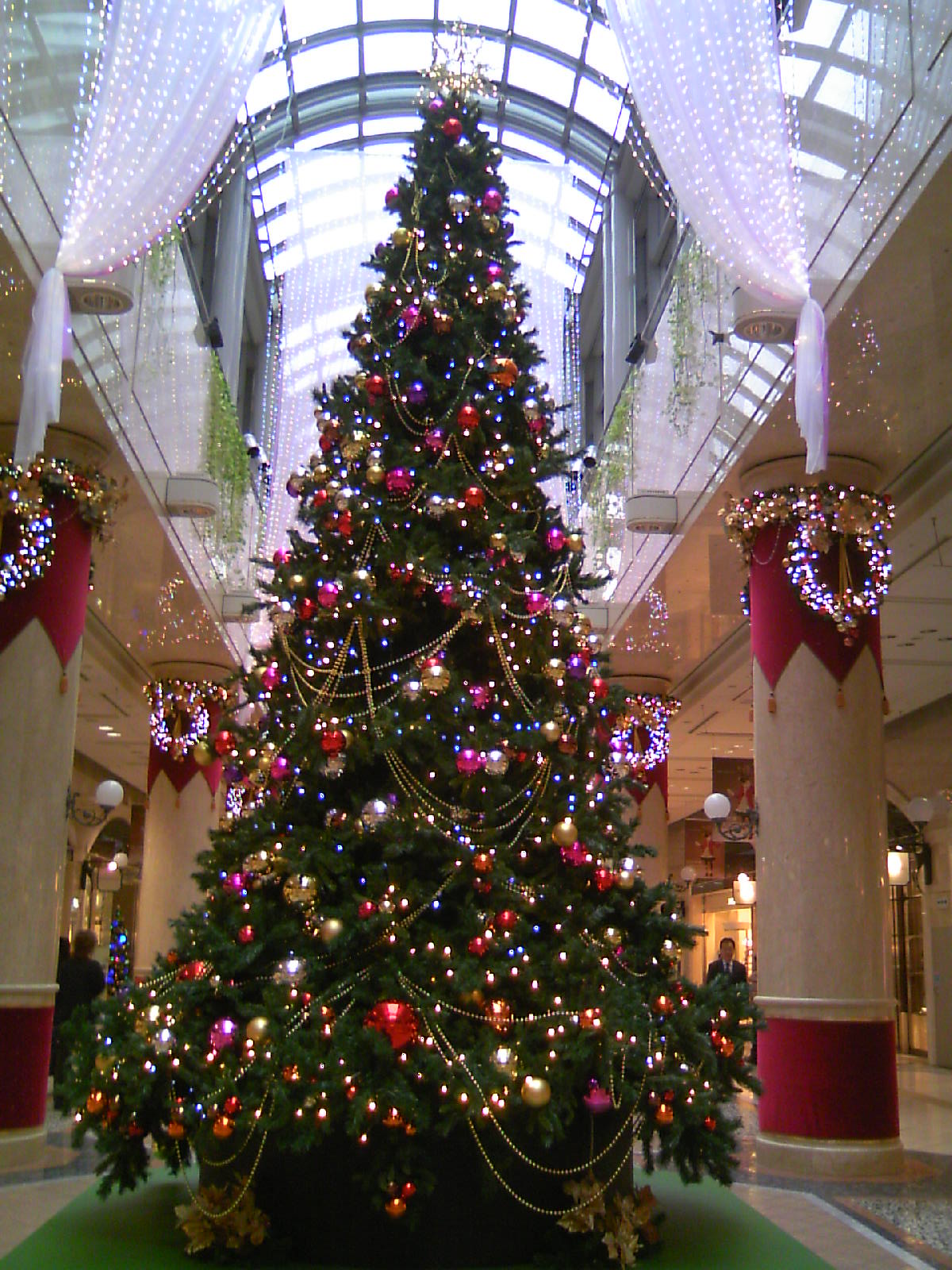 b0009106_1049439.jpg